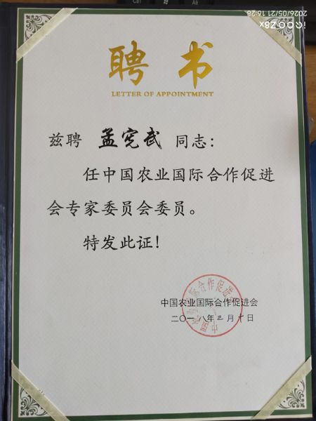 聘书