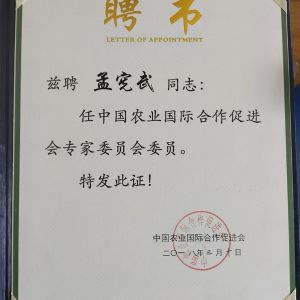 聘书