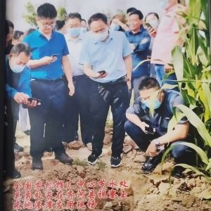 农机推广中心节水处吴勇处长在齐河县视察玉米地渗灌应用现场