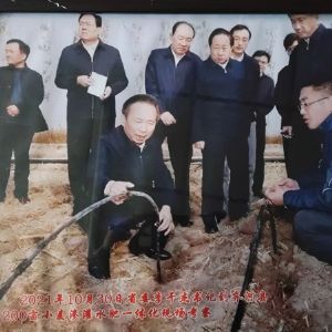 现场考察